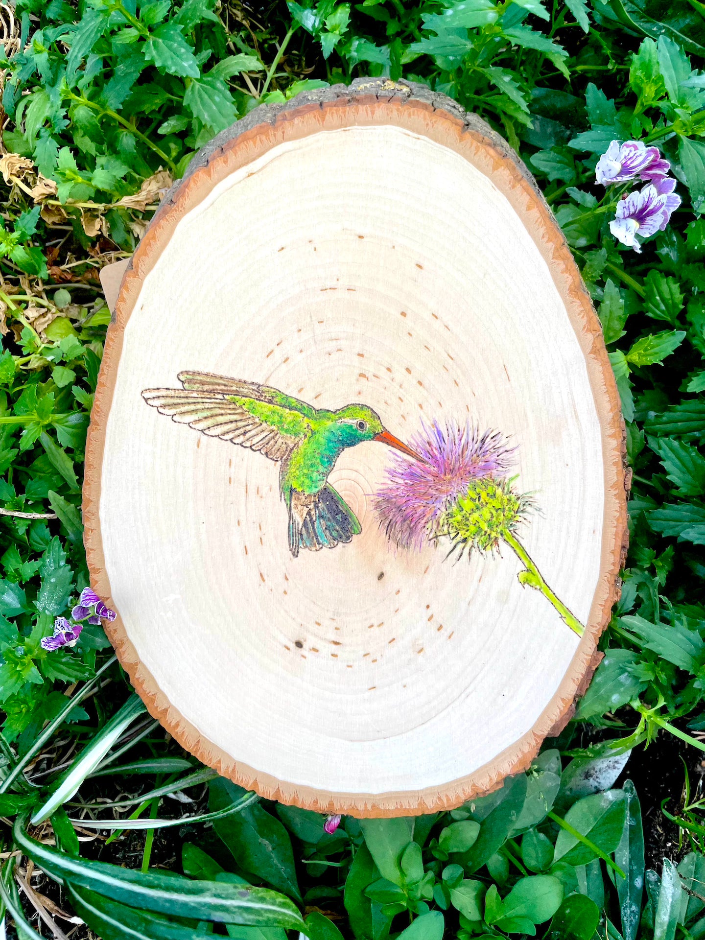Springtime Flights