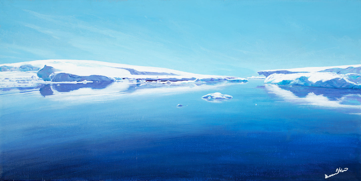 Antarctic Reflections